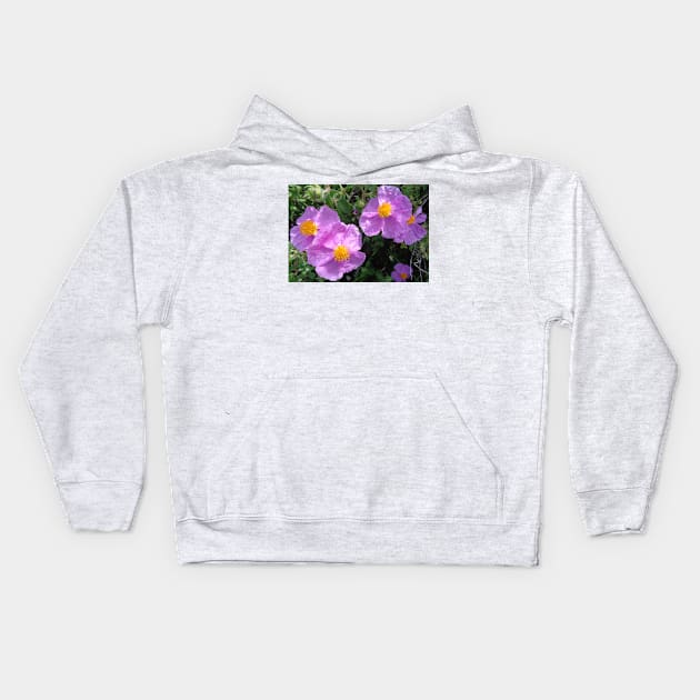 Wild Mountain Cistus Kids Hoodie by aeolia